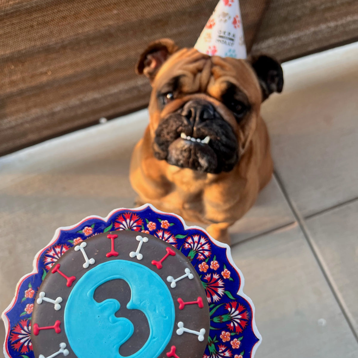 Birthday Subscription & Okra & Molly