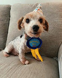 Birthday Ribbon