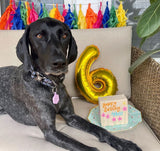 Standing Birthday Cakes