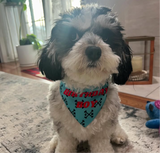 Birthday Bandana