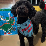 Birthday Bandana