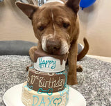 3Tier Dog Cake Birthday