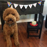 Dog Birthday Cake