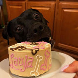 Dog Birthday Cake