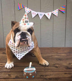 Dog Birthday Party