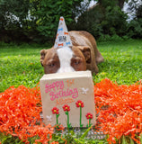 Dog Birthday Cake Flowers