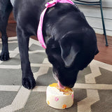 Dog Birthday Bone