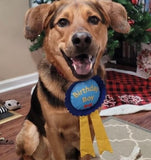 Birthday Ribbon