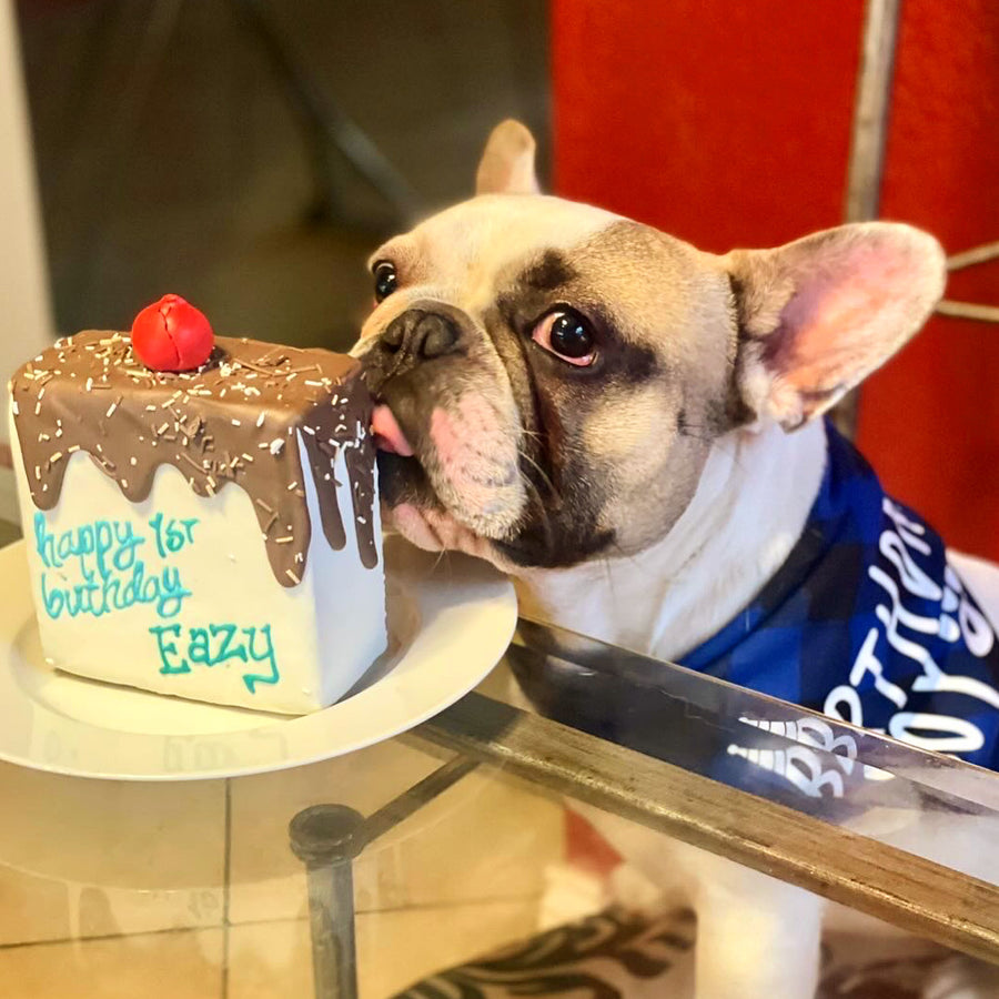 Dog Cake Bakery Ship Anywhere in U.S. Okra & Molly