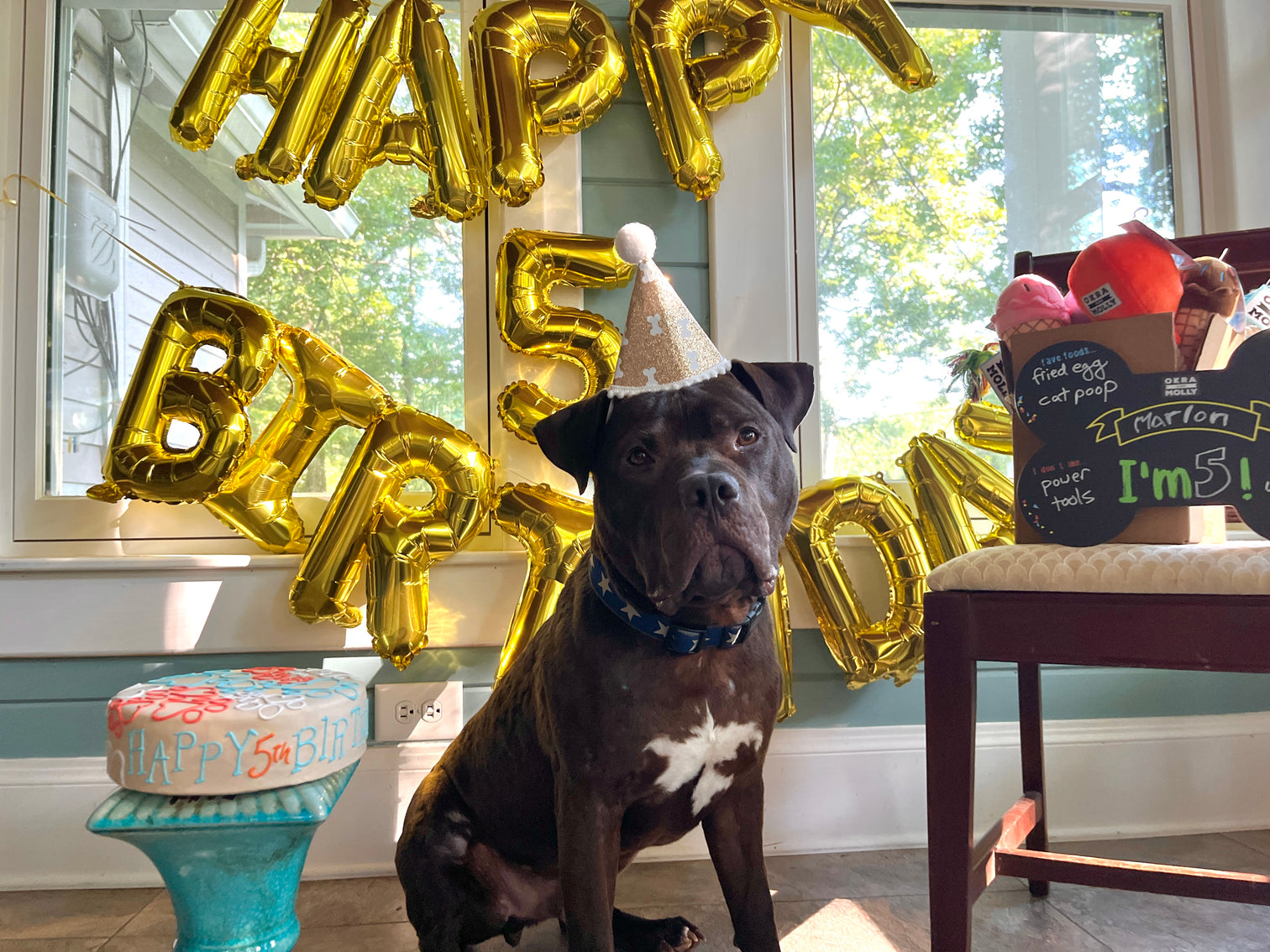 Dog Cake Bakery Ship Anywhere in U.S. Okra & Molly