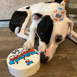 Dog Birthday Cake Graffiti