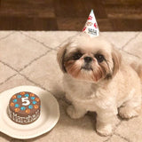 Dog Birthday Cake Paws