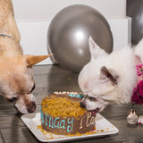 dog birthday cake paws