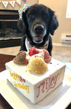 Dog Birthday Cake Ice Cream