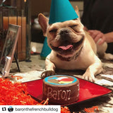 Dog Birthday Cake Balloons