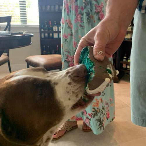 Okra & Molly & Okra & Molly