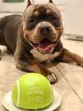 Dog Cake Tennis Ball 