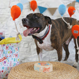 Dog Birthday Party Balloon