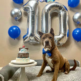 Dog Birthday Balloon